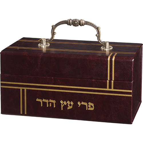בתי מזוזה מעוצבים בסגנון מודרני, מתנה ייחודית לבית חדש או לאירועים מיוחדים.